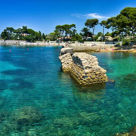 Pws Le Cosy Palm * Elegant 2p Climatise! Apartment Cannes